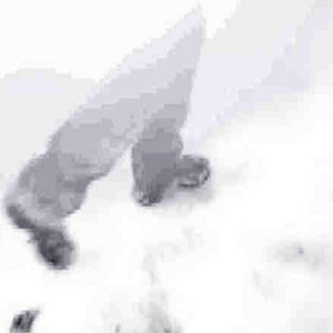 Cover: raucherschaeden (mit sotbarn)