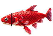 The Weekly Catch – Cover